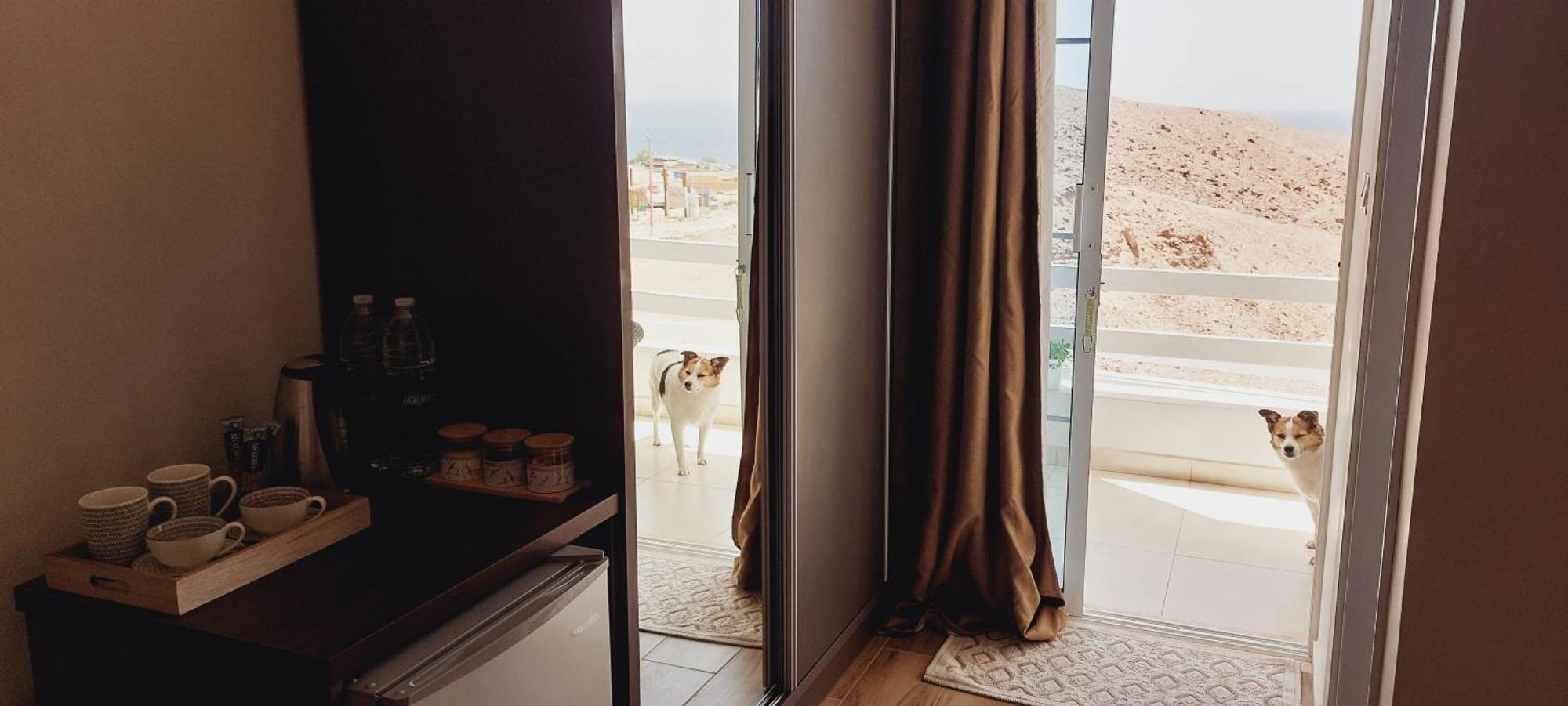 Aqaba Pro Divers Exteriér fotografie