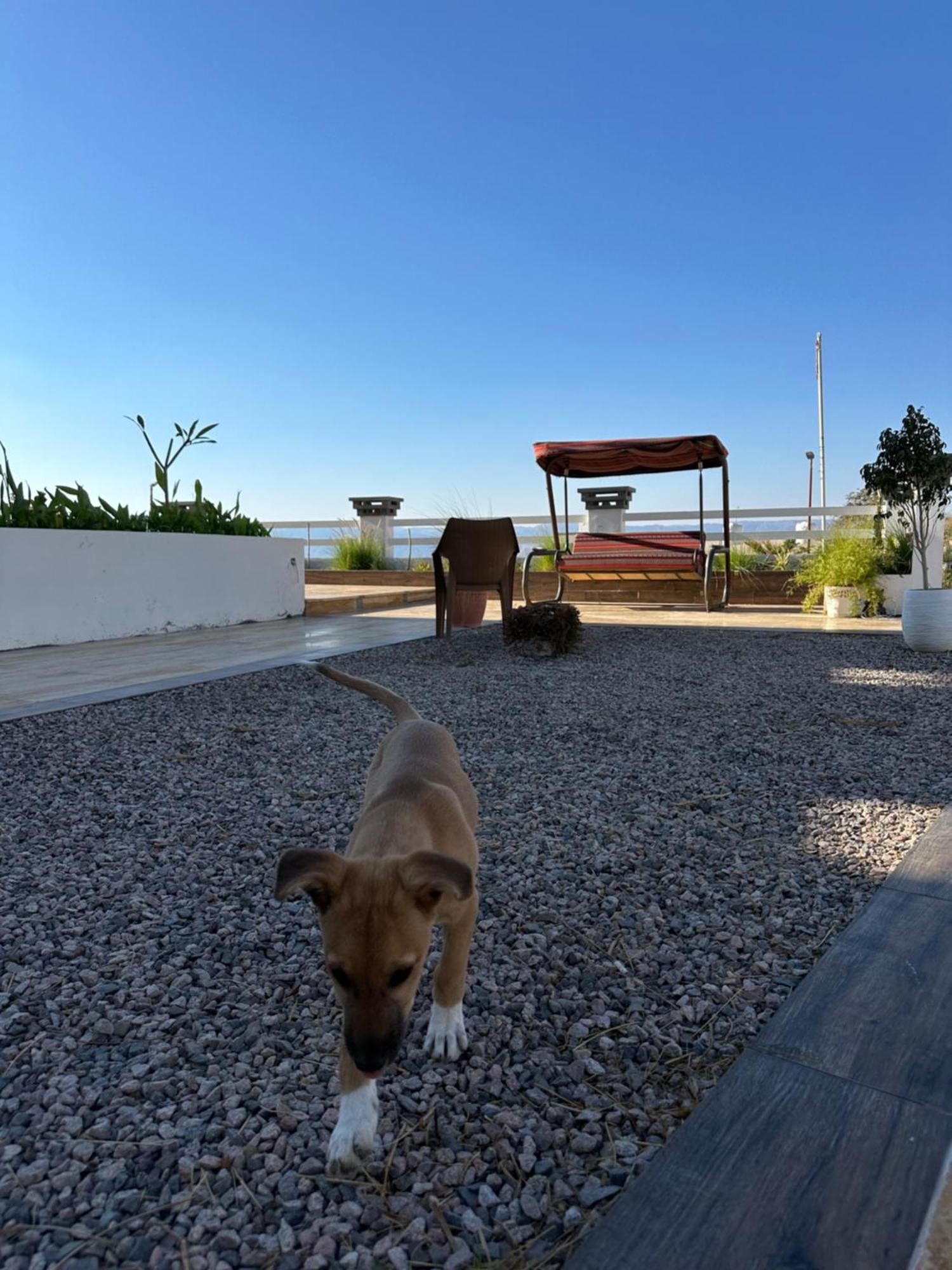 Aqaba Pro Divers Exteriér fotografie